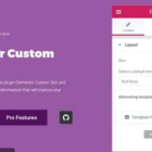 Elementor Custom Skin Pro v3.2.5 (Activated)