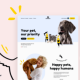PetMania - Pet Care Shop Ecommerce WordPress Theme
